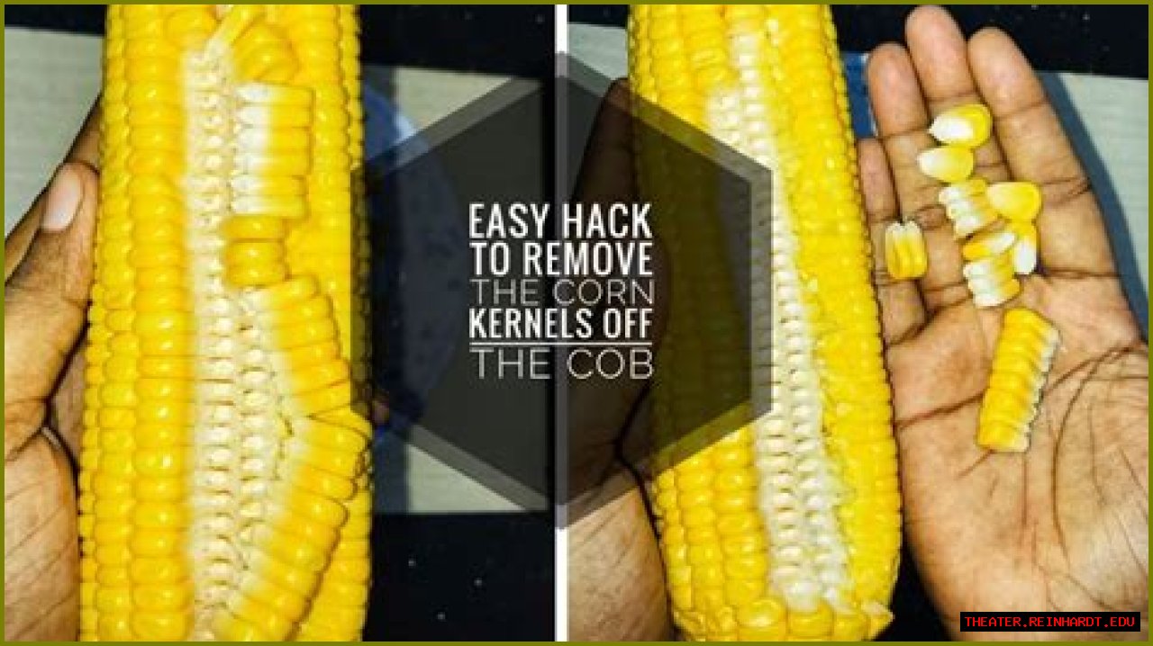 Mitigating Kornkernal Leaks: A Comprehensive Guide